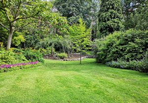 Optimiser l'expérience du jardin à Bisseuil